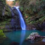 Une belle cascade entourée de verdure