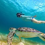 Une personne nageant avec une tortue sous l'eau