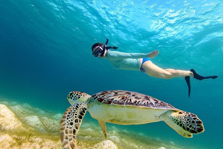 Une personne nageant avec une tortue sous l'eau