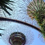 Gardens By The Bay