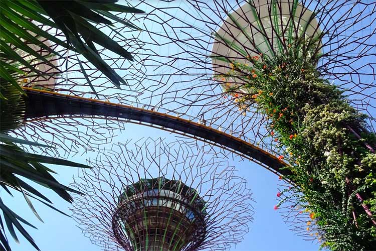 Gardens By The Bay