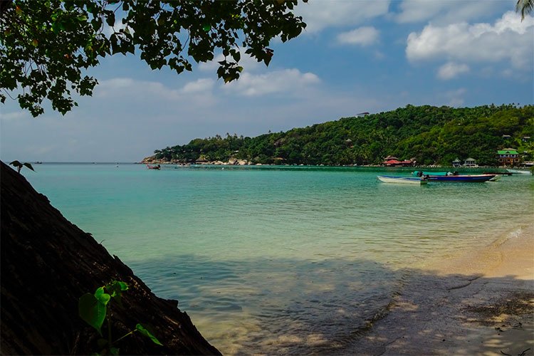 Vue d'une plage avec eau turquoise
