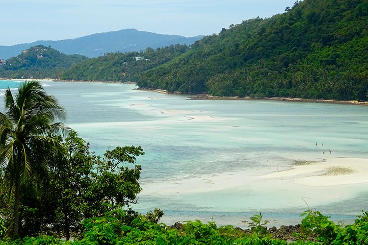 Plage entourée de collines verdoyantes