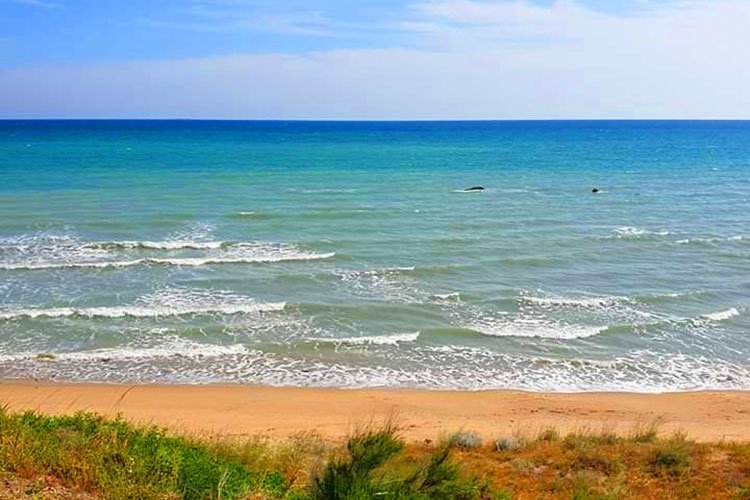 Vue d'une plage avec mer calme