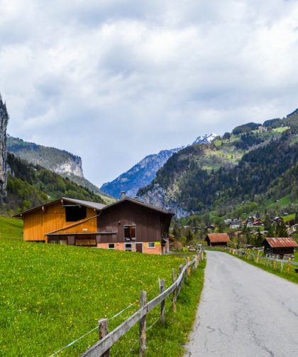 découvrez les trains panoramiques suisses, une expérience inoubliable à travers des paysages majestueux et des panoramas à couper le souffle. embarquez pour un voyage unique au cœur des alpes suisses et admirez la beauté naturelle de la suisse tout en voyageant dans le confort.