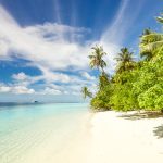 découvrez les plus belles plages du monde : sable doré, eaux cristallines et paysages à couper le souffle. profitez de moments de détente, d'activités nautiques et de soleil sur ces destinations paradisiaques.