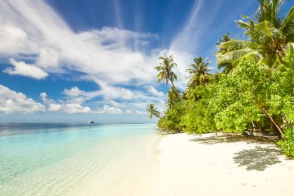 découvrez les plus belles plages du monde : sable doré, eaux cristallines et paysages à couper le souffle. profitez de moments de détente, d'activités nautiques et de soleil sur ces destinations paradisiaques.