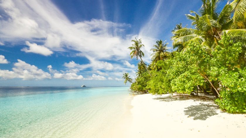 découvrez les plus belles plages du monde : sable doré, eaux cristallines et paysages à couper le souffle. profitez de moments de détente, d'activités nautiques et de soleil sur ces destinations paradisiaques.