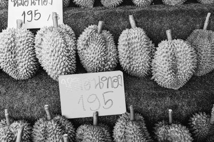 découvrez le durian, ce fruit tropical au goût unique et à l'odeur puissante. plongez dans son monde fascinant entre traditions culinaires et bienfaits nutritionnels, et apprenez à apprivoiser cet incontournable de l'asie du sud-est.