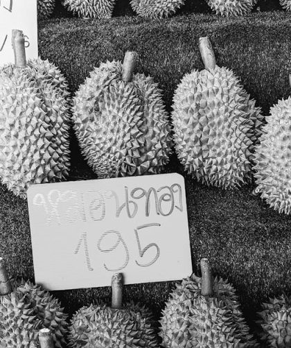 découvrez le durian, ce fruit tropical au goût unique et à l'odeur puissante. plongez dans son monde fascinant entre traditions culinaires et bienfaits nutritionnels, et apprenez à apprivoiser cet incontournable de l'asie du sud-est.