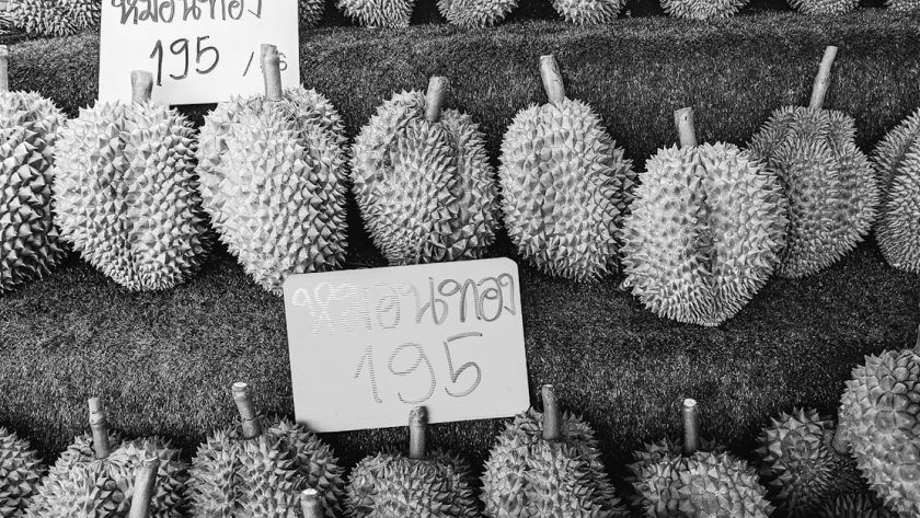 découvrez le durian, ce fruit tropical au goût unique et à l'odeur puissante. plongez dans son monde fascinant entre traditions culinaires et bienfaits nutritionnels, et apprenez à apprivoiser cet incontournable de l'asie du sud-est.
