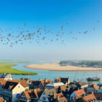 découvrez comment explorer la magnifique baie de somme en 3 jours. suivez notre guide pour profiter des sites incontournables, des paysages époustouflants et des activités passionnantes, tout en vous immergeant dans la richesse de la culture locale et la gastronomie régionale.