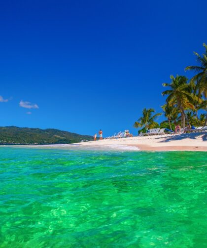 Vue d'une plage avec des palmiers et de l'eau claire