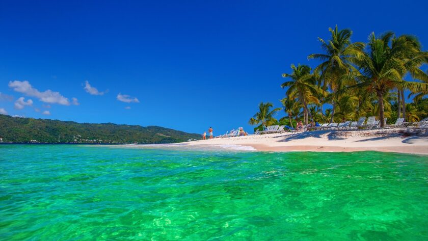 Vue d'une plage avec des palmiers et de l'eau claire