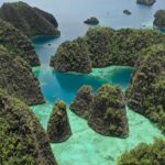 découvrez raja ampat, un véritable paradis terrestre en indonésie, célèbre pour ses paysages époustouflants, sa biodiversité marine incroyable et ses plages de sable blanc. plongez dans un monde aquatique coloré et explorez des îles préservées, idéal pour les amoureux de la nature et les aventuriers.