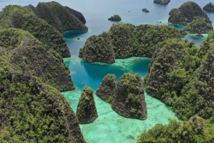découvrez raja ampat, un véritable paradis terrestre en indonésie, célèbre pour ses paysages époustouflants, sa biodiversité marine incroyable et ses plages de sable blanc. plongez dans un monde aquatique coloré et explorez des îles préservées, idéal pour les amoureux de la nature et les aventuriers.
