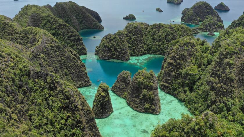 découvrez raja ampat, un véritable paradis terrestre en indonésie, célèbre pour ses paysages époustouflants, sa biodiversité marine incroyable et ses plages de sable blanc. plongez dans un monde aquatique coloré et explorez des îles préservées, idéal pour les amoureux de la nature et les aventuriers.